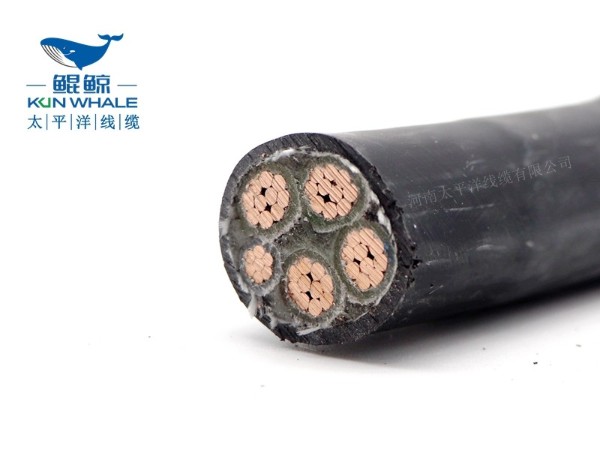 低煙無(wú)鹵電纜應(yīng)用在哪些場(chǎng)所你知道嗎？