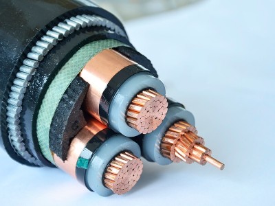 e52e554d-80ec-40cb-8bf6-3275d07f2b47 e52e554d-80ec-40cb-8bf6-3275d07f2b47